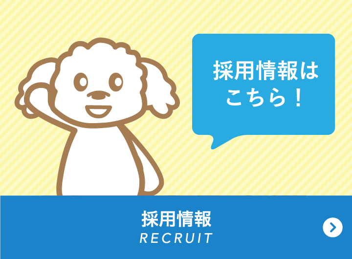 採用情報